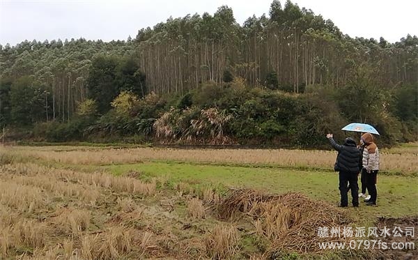 喀什地区陈老师带着爱徒寻龙点穴